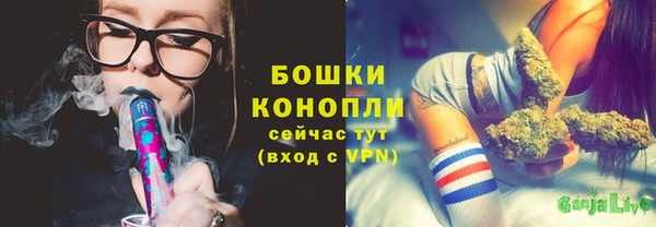стаф Верея