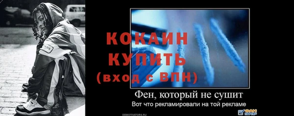 стаф Верея
