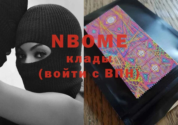 стаф Верея