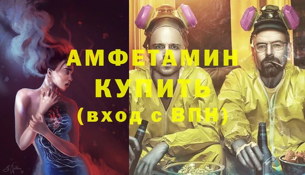 стаф Верея