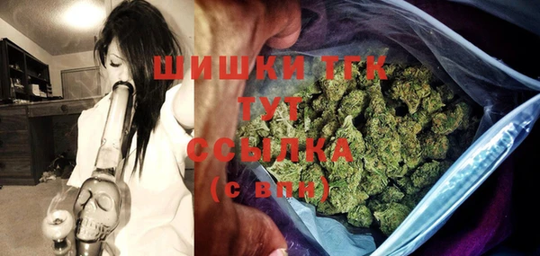стаф Верея