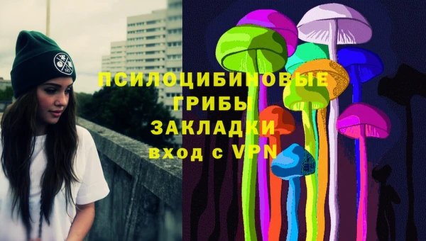 индика Верхнеуральск