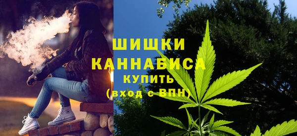индика Верхнеуральск