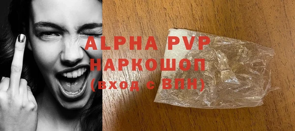 стаф Верея