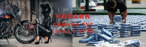 стаф Верея