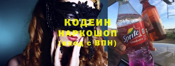 стаф Верея