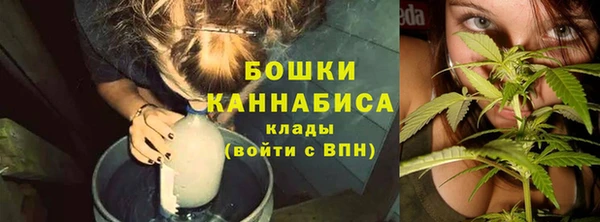 стаф Верея