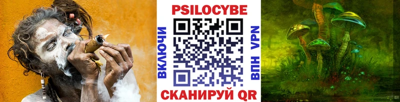 Галлюциногенные грибы Psilocybe  наркошоп  Наро-Фоминск 