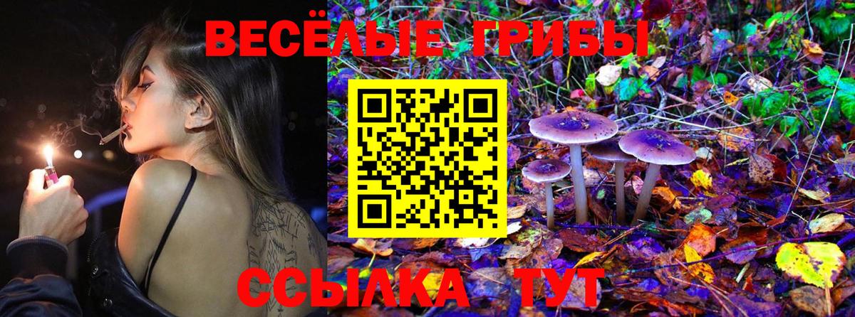 Галлюциногенные грибы GOLDEN TEACHER Наро-Фоминск