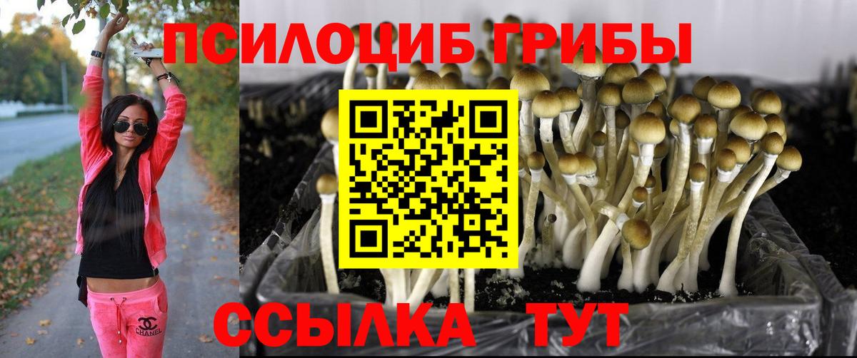 купить   Галлюциногенные грибы Psilocybine cubensis  Вход с VPN  Псилоцибиновые грибы Psilocybine cubensis  Наро-Фоминск 